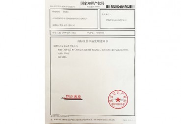 知識產權證書